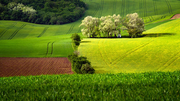 View of the rolling green hills and agricultural fields of Moravia with a small chapel nestled among blooming trees in the countryside of Brno City District South Moravian Region Czechia.