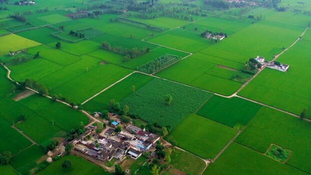 Aerial view of green fields and rural village in Patna India.