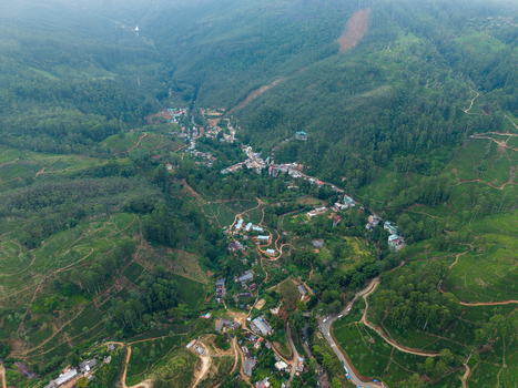 Aerial view of lush tea plantations and a small village nestled in a green valley under soft daylight Nallathanniya Central Province Sri Lanka. Aerial view of lush tea plantations and a small village nestled in a green valley under soft daylight Nallathanniya Central Province Sri Lanka.