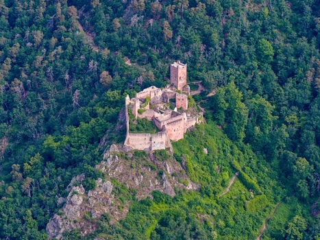 Aerial view of the medieval castle ruins of Saint Ulrich on a lush green hilltop surrounded by dense forest in Ribeauville Grand Est France. Aerial view of the medieval castle ruins of Saint Ulrich on a lush green hilltop surrounded by dense forest in Ribeauville Grand Est France.