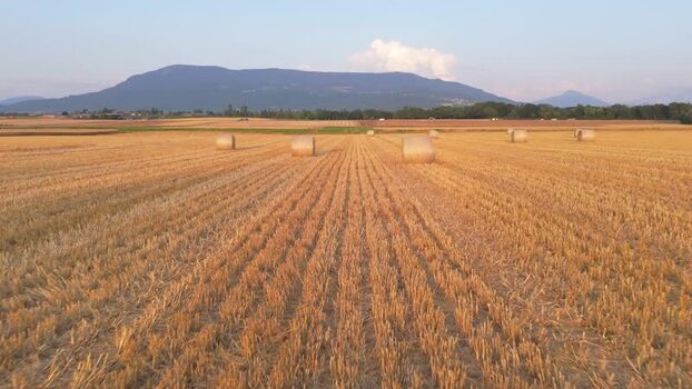 Aerial view of hay bales in a harvested field in Geneva Switzerland.