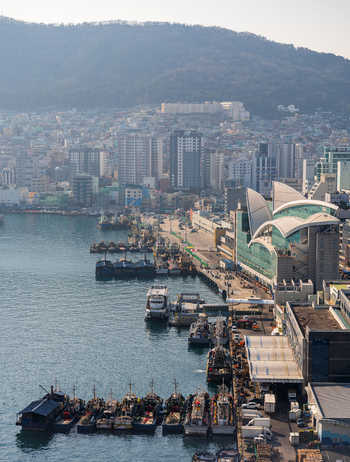 Aerial view of the busy Busan port with numerous fishing boats docked along the pier surrounded by modern urban buildings and mountains in the background in Busan Busan South Korea. Aerial view of the busy Busan port with numerous fishing boats docked along the pier surrounded by modern urban buildings and mountains in the background in Busan Busan South Korea.