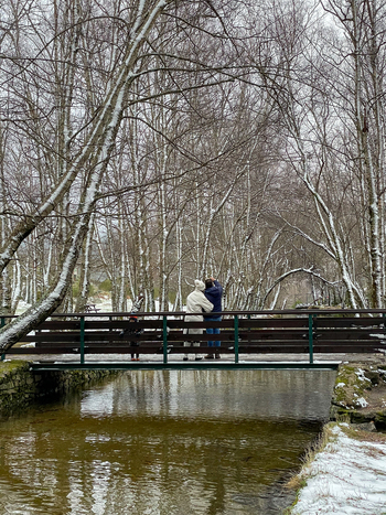 Aerial view of Covao d Ametade with a wooden bridge over a stream surrounded by snow covered birch trees and people in Loriga Guarda District Portugal. Aerial view of Covao d Ametade with a wooden bridge over a stream surrounded by snow covered birch trees and people in Loriga Guarda District Portugal.