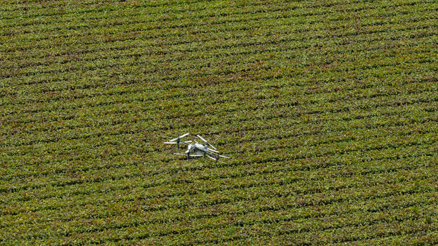 Aerial view of a drone flying over a large agricultural field with rows of green crops in Zeewolde Flevoland Netherlands. Aerial view of a drone flying over a large agricultural field with rows of green crops in Zeewolde Flevoland Netherlands.