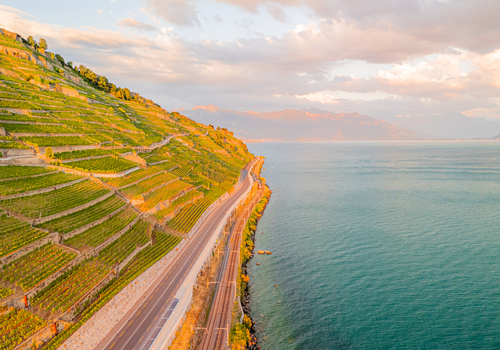 Aerial view of the terraced vineyards of Lavaux along the shores of Lake Geneva with a road and railway line in Bourg en Lavaux Vaud Switzerland. Aerial view of the terraced vineyards of Lavaux along the shores of Lake Geneva with a road and railway line in Bourg en Lavaux Vaud Switzerland.