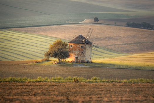 View of the historic Windmill Kunkovice standing amidst rolling agricultural fields and soft hills under golden light Kunkovice Zlin Region Czechia. View of the historic Windmill Kunkovice standing amidst rolling agricultural fields and soft hills under golden light Kunkovice Zlin Region Czechia.