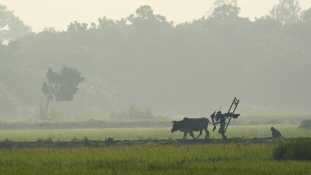 View of a farmer with a cow in a misty field Bangladesh.