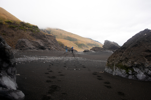 View of hikers walking along the black sand beach past large volcanic rocks and coastal hills at the Lost Coast in Humboldt County California United States.