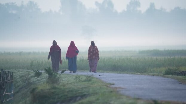 View of three women walking on a rural road in the mist Bangladesh. View of three women walking on a rural road in the mist Bangladesh.