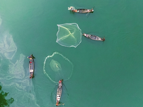Khansama Upazila Bangladesh 11 June 2026 Aerial view of fishermen in small wooden boats casting circular nets into the green waters of a river.