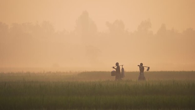 View of farmers walking through a misty field Bangladesh.