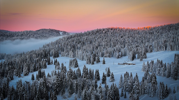 Aerial view of a snow blanketed forest landscape under a pastel colored sky with a hint of mist nestled between the trees Saint Cergue Switzerland.