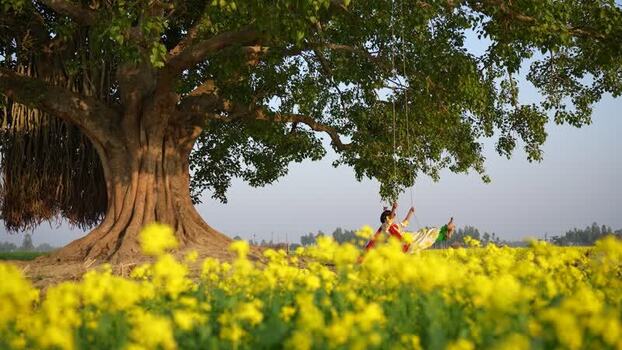View of a person on a swing under a banyan tree in Bogura Bangladesh. View of a person on a swing under a banyan tree in Bogura Bangladesh.