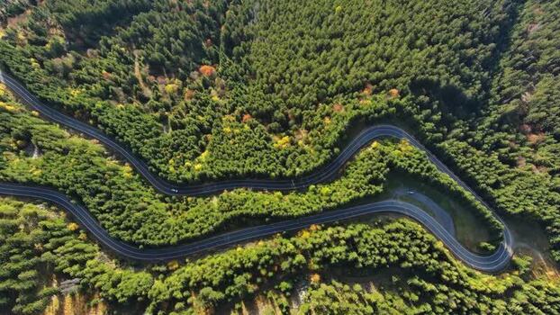 Aerial view of winding road through Transylvania forest Romania.