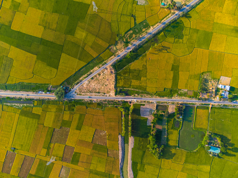 Aerial view of a patchwork quilt of golden and green rice paddies bisected by a long road cutting through the rural landscape Joypurhat Bangladesh. Aerial view of a patchwork quilt of golden and green rice paddies bisected by a long road cutting through the rural landscape Joypurhat Bangladesh.