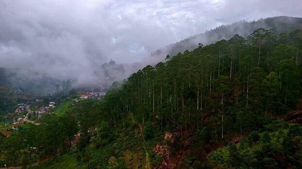 Aerial view of misty mountain forests in Sri Lanka.