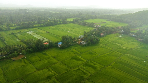 Aerial view of lush green rice paddies and agricultural fields with scattered houses and palm trees in the countryside of Gokarna Karnataka India.