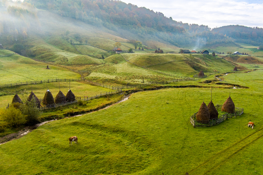 Aerial view of Fundatura Ponorului featuring lush green meadows traditional haystacks a winding stream and grazing cows in the rural landscape of Ohaba Ponor Hunedoara Romania.