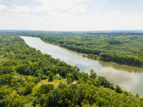 Aerial view of a wide river flowing through lush green forests and dense vegetation under a bright sky Bratislava Bratislava Region Slovakia. Aerial view of a wide river flowing through lush green forests and dense vegetation under a bright sky Bratislava Bratislava Region Slovakia.