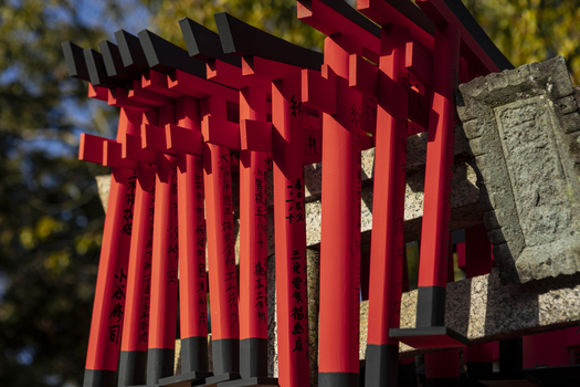 View of small red torii gates with black bases and Japanese inscriptions at Fushimi Inari Shrine in Kyoto Kyoto Japan.