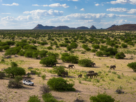 Aerial view of elephants grazing amidst the sparse greenery and sandy terrain under a vast blue sky with scattered clouds Uis Erongo Region Namibia.
