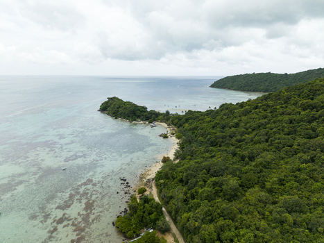 Aerial view of lush green forests meet the turquoise waters of Annora Beach under a cloudy sky Karimunjawa Jawa Tengah Indonesia.