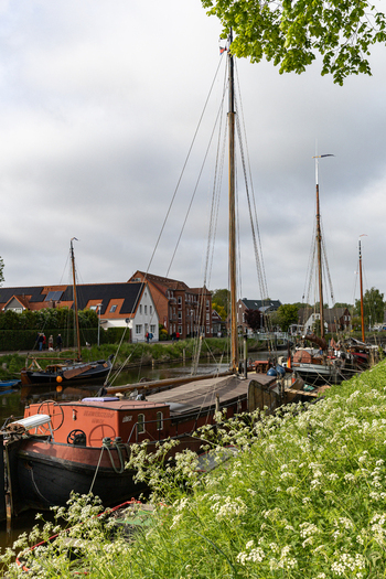 View of Hafen Harlesiel with traditional sailing boats moored in the canal white wildflowers in the foreground and historic brick houses Wittmund Lower Saxony Germany. View of Hafen Harlesiel with traditional sailing boats moored in the canal white wildflowers in the foreground and historic brick houses Wittmund Lower Saxony Germany.