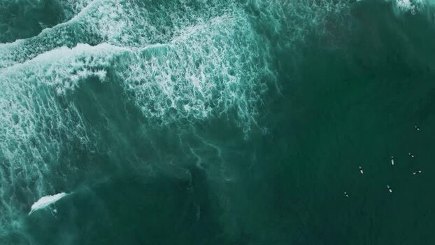 Aerial view of surfers in the water at La Jolla Cove United States.