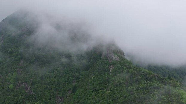 Aerial view of Trou Aux Cerfs volcano in Mauritius.