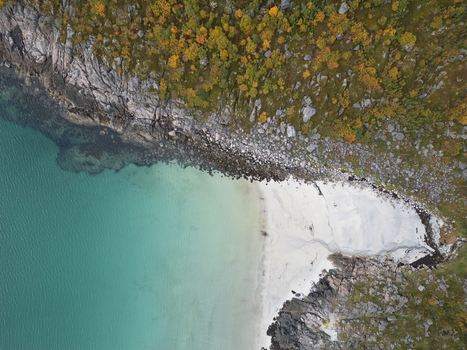 Aerial view of Rorvikstranda beach with white sand turquoise water and autumn foliage on rocky cliffs Henningsvaer Nordland Norway.