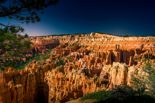 View of Bryce Canyon National Park with orange hoodoos and pine trees under a clear blue sky in Utah United States.