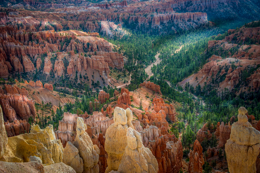 View of Bryce Canyon National Park featuring dramatic orange hoodoos pine trees and rugged rock formations under soft sunlight in Utah United States.