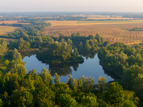 Aerial view of a serene pond surrounded by lush green forests and golden harvest fields under a soft morning light Taujenai Vilnius County Lithuania.