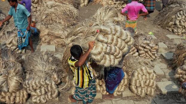 View of workers handling bundles of raw jute fiber in Bangladesh.