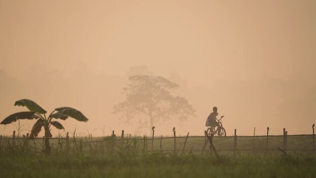 View of a person riding a bicycle at sunrise in Bangladesh.