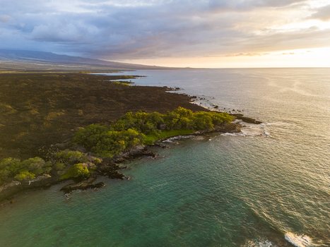 Aerial view of Waikoloa Beach with dark lava fields and lush green trees along the turquoise ocean water during a golden sunset in Waikoloa Village Hawaii United States.