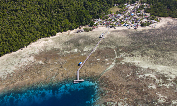 Aerial view of a long wooden pier extending from a coastal village into the clear turquoise waters of a coral reef surrounded by dense tropical forest in Raja Ampat Southwest Papua Indonesia.