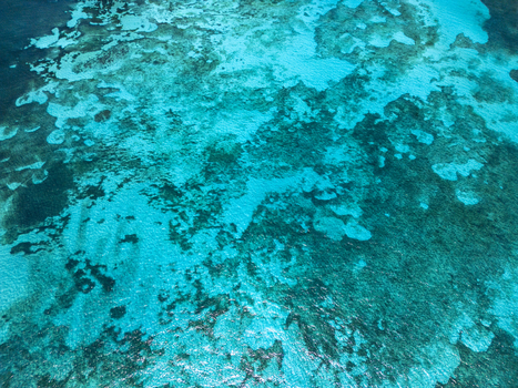 Aerial view of vibrant coral reefs and turquoise ocean waters under bright sunlight Guanaja Bay Islands Department Honduras. Aerial view of vibrant coral reefs and turquoise ocean waters under bright sunlight Guanaja Bay Islands Department Honduras.