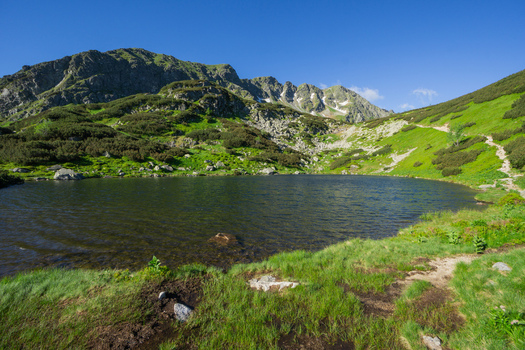 View of Rohacske plesa alpine lake surrounded by green mountain slopes and rocky peaks under a clear blue sky in Zuberec Zilina Region Slovakia. View of Rohacske plesa alpine lake surrounded by green mountain slopes and rocky peaks under a clear blue sky in Zuberec Zilina Region Slovakia.