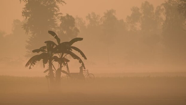 View of a person with a bicycle in dense morning fog Bangladesh. View of a person with a bicycle in dense morning fog Bangladesh.