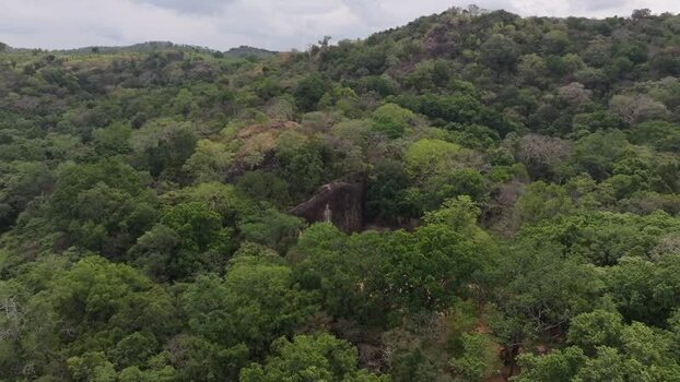 Aerial view of dense jungle landscape in Ambagollapathana Sri Lanka.