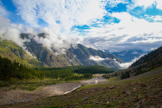 View of Rama Meadows featuring lush green pine forests rocky terrain and a winding stream under a cloudy sky in the mountains Astore Gilgit Pakistan. View of Rama Meadows featuring lush green pine forests rocky terrain and a winding stream under a cloudy sky in the mountains Astore Gilgit Pakistan.