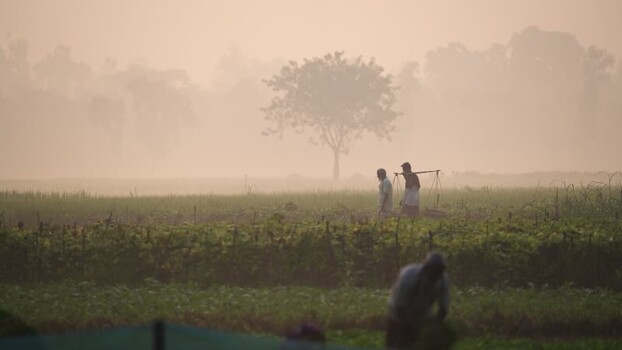 View of farmers walking through misty fields in Bogura Bangladesh.