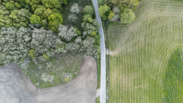 Aerial view of a narrow asphalt road passing between a lush green forest and cultivated agricultural fields with tilled earth patterns Ourense Province of Ourense Spain. Aerial view of a narrow asphalt road passing between a lush green forest and cultivated agricultural fields with tilled earth patterns Ourense Province of Ourense Spain.