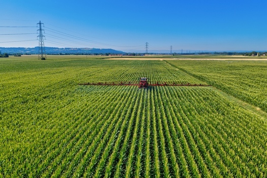 Aerial view of a tractor spraying a large green cornfield with long rows under a clear blue sky with power lines in the distance in Hombourg Grand Est France. Aerial view of a tractor spraying a large green cornfield with long rows under a clear blue sky with power lines in the distance in Hombourg Grand Est France.