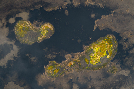 Aerial view of Caldeira Branca featuring vibrant green vegetation on small islands within a dark volcanic lake and marshy terrain in Faja Grande Azores Portugal. Aerial view of Caldeira Branca featuring vibrant green vegetation on small islands within a dark volcanic lake and marshy terrain in Faja Grande Azores Portugal.