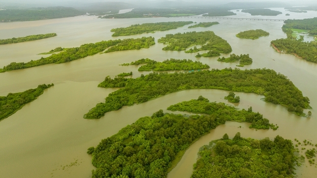 Aerial view of the lush green islands and winding backwaters of the Sharavathi River in Honnavar Karnataka India.