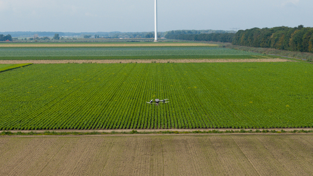 Aerial view of a drone flying over vibrant green agricultural fields with neat crop rows and a distant wind turbine Zeewolde Flevoland Netherlands. Aerial view of a drone flying over vibrant green agricultural fields with neat crop rows and a distant wind turbine Zeewolde Flevoland Netherlands.