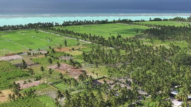 Aerial view of agricultural fields and palm trees on Thoddoo Maldives. Aerial view of agricultural fields and palm trees on Thoddoo Maldives.