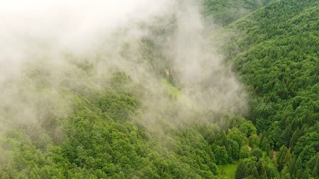 Aerial view of misty forest in the mountains Romania. Aerial view of misty forest in the mountains Romania.